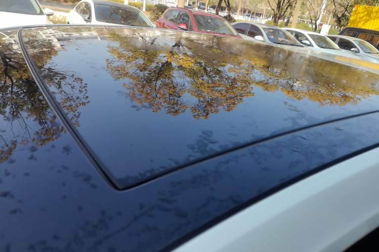 Used Volkswagen Golf 2019 1.6L Automatic Comfort Model China V Standard
