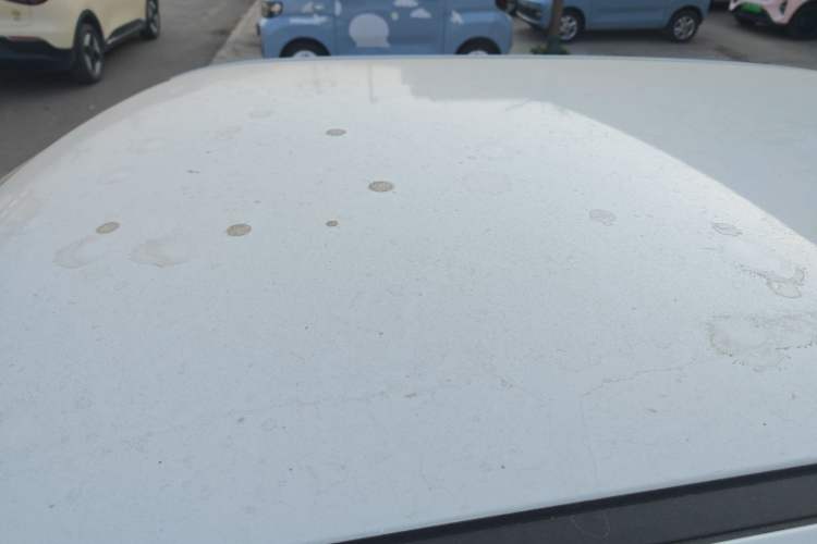 Used  Lumin 2024 130km Qingyue Version