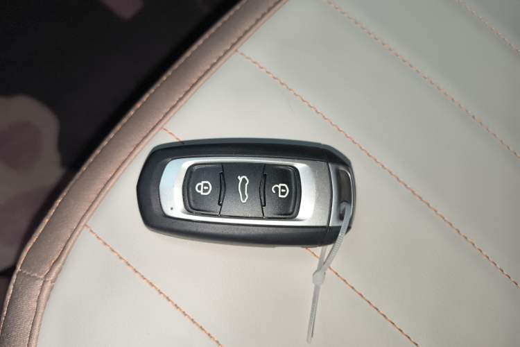 Used  Panda 2024 200km Panda Kart
