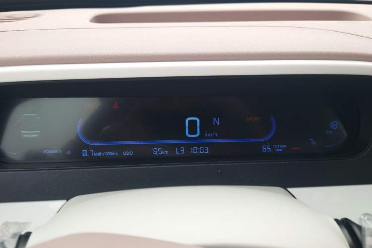 Used  Panda 2025 210 km – Yuanqi Bear