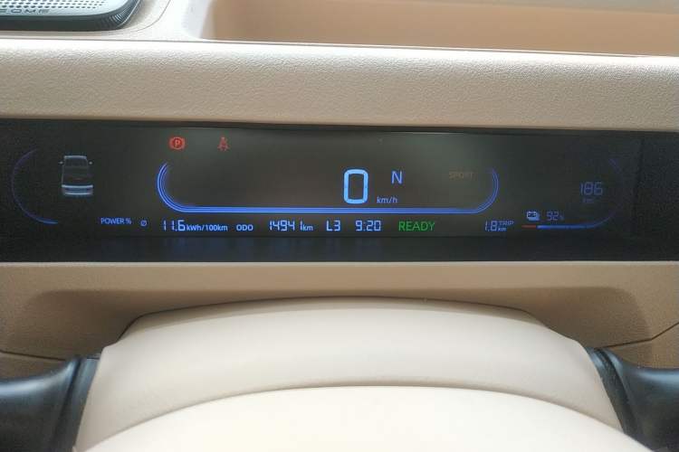 Used  Panda 2023 Panda Mini 200km Dynamic Bear