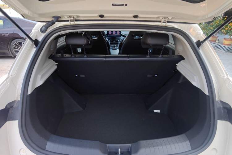 Used BYD e2 2023 Luxury Model
