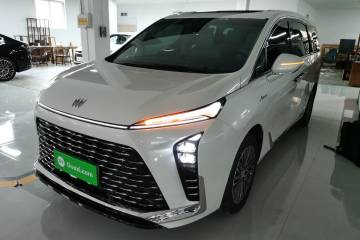 Used Buick GL8 New Energy 2024 Lu Zun Luxury Edition 6-Seater