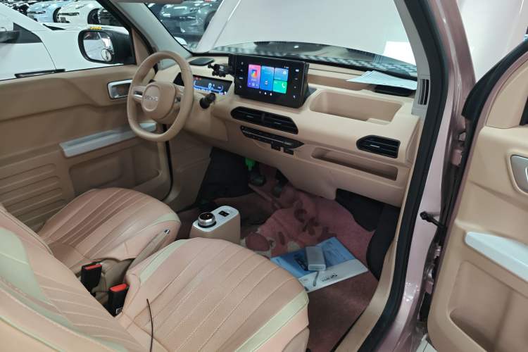 Used  Panda 2023 Panda Mini 200km Endurance Bear
