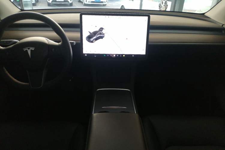 Used Tesla Model Y 2021 Standard Range Rear-Wheel Drive Version
