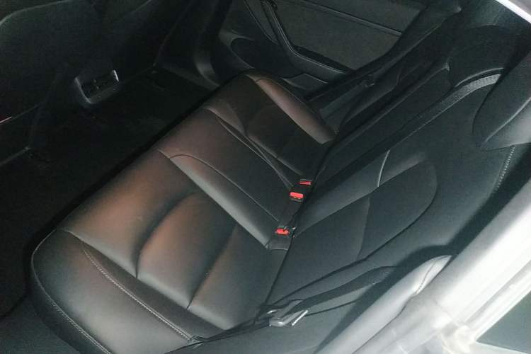 Used Tesla Model 3 2022 Rear-Wheel-Drive Version
