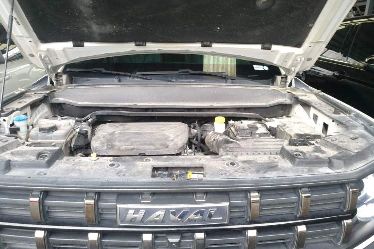 Used Haval X DOG 2022 1.5T DCT Four-Wheel Drive Trendy Wild Edition
