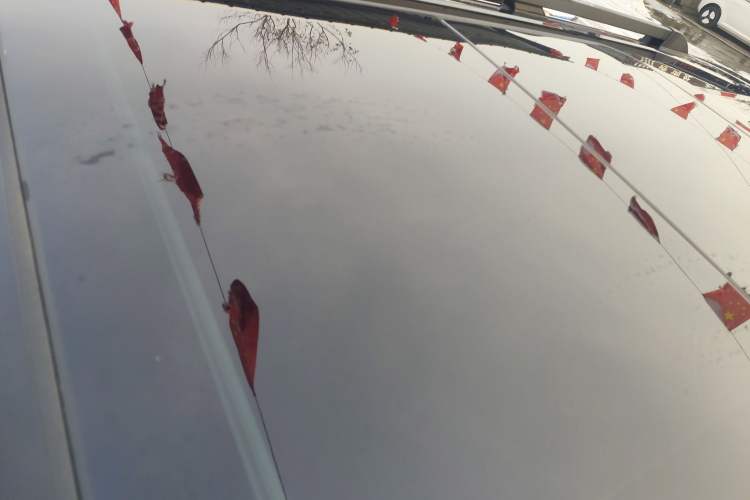 Used Tank 400 New Energy 2024 Hi4-T City Edition