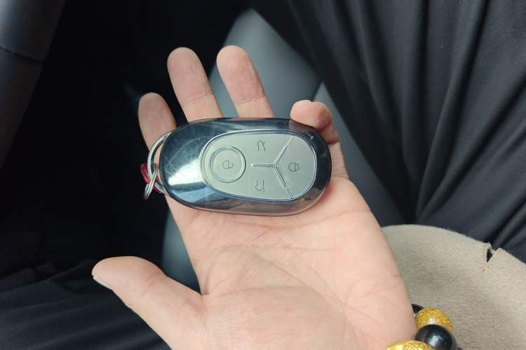 Used  Geome 2025 310km Youth Edition
