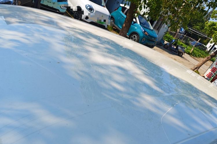 Used BYD Seagull 2024 Honor Edition 305km Dynamic Version
