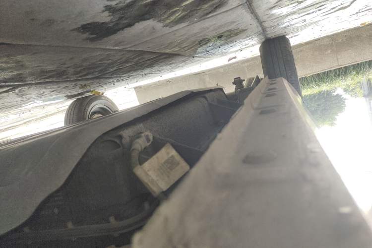 Used  Panda 2023 Panda Mini 200km Endurance Bear
