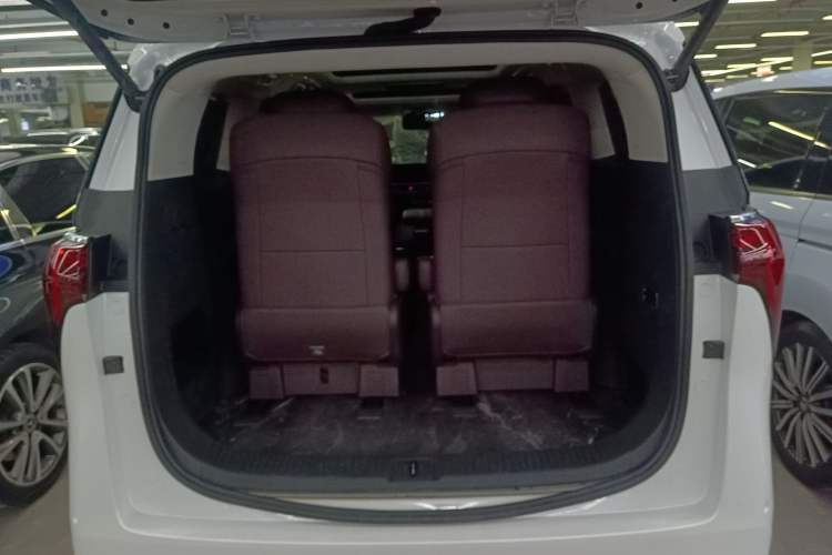 Used Buick Century 2023 2.0T Six-Seater Yinshi Edition
