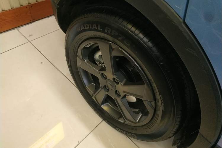 Used Geometry E Firefly 2022 401 km Linglong Tiger 4 Seats
