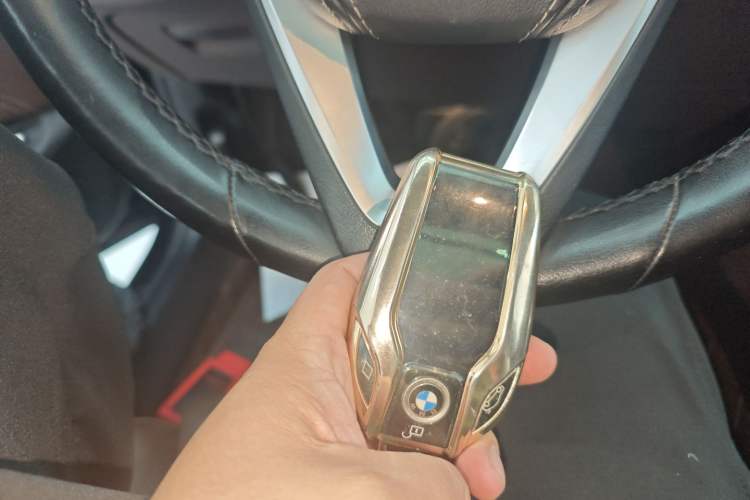 Used BMW 5 Series New Energy 2020 530Le Pioneer Edition