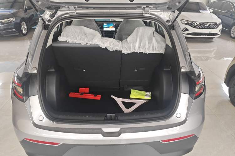 Used  Geome 2025 310km Youth Edition
