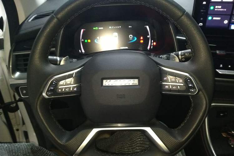 Used Haval H6 2021 National Trend Edition 1.5T Automatic Champion Version