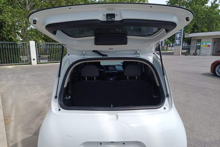 Used ORA White Cat 2020 401 km Flagship Version
