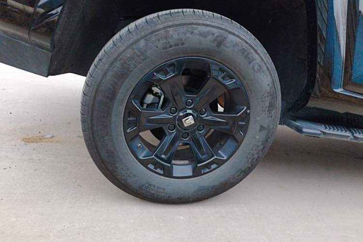 Used Tank 400 2025 2.0T Gasoline Version
