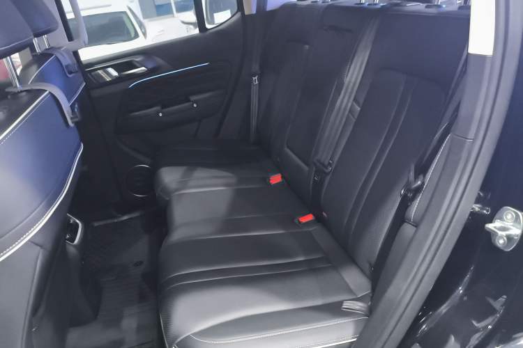 Used Tank 300 2024 2.0T Crosser
