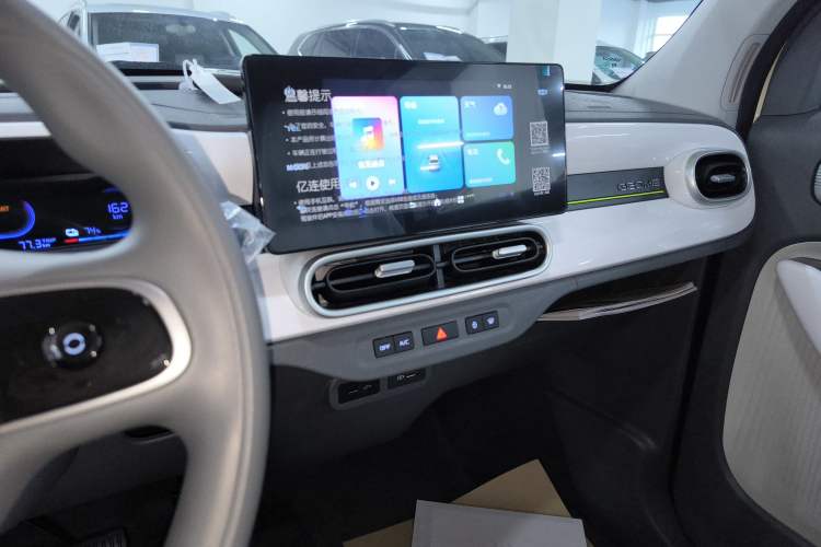 Used  Panda 2025 210 km – Yuanqi Bear
