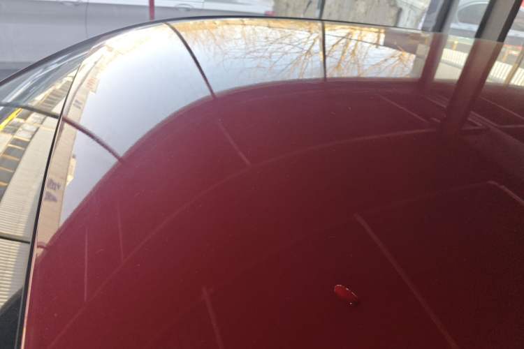 Used ORA Black Cat 2021 351 km Luxury Version