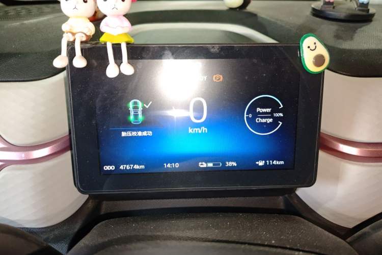 Used SOL E10X 2022 Flower Fairy Style Baby's Breath