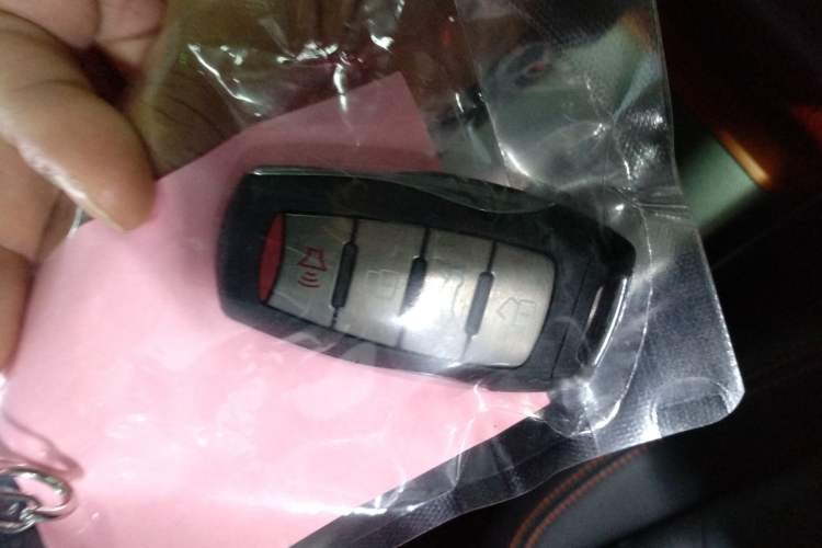 Used Haval DARGO 2024 2.0T DCT Chinese Rural Dog Edition
