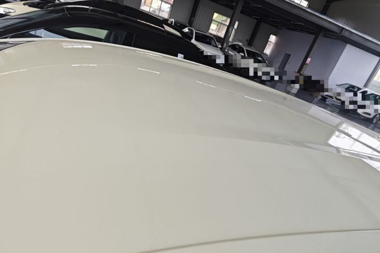 Used BYD Dolphin 2023 420 km Free Version
