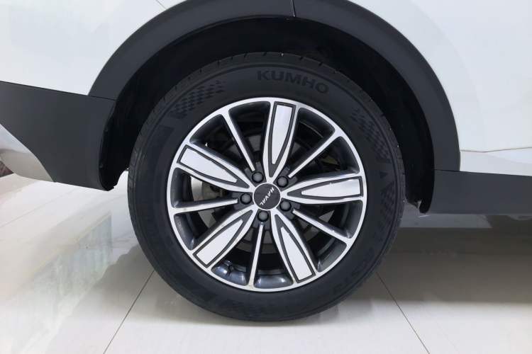 Used Haval H6 2021 1.5T Automatic Champion Edition