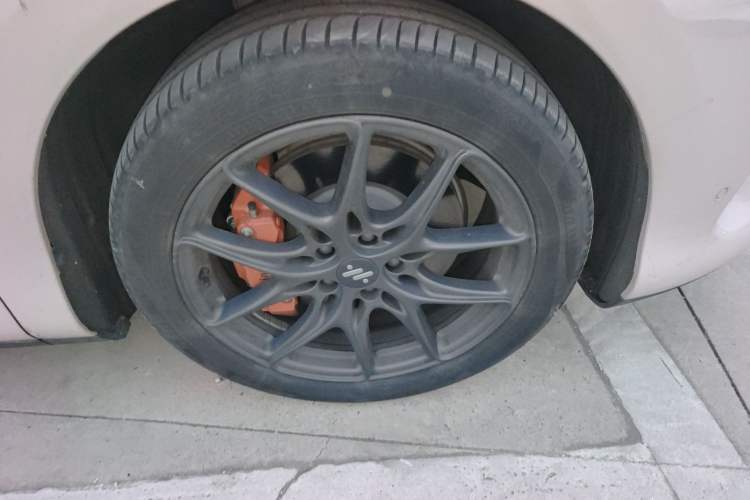 Used  LS6 2023 Max Long-Range Version