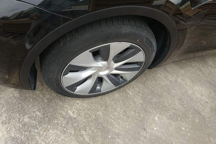 Used Tesla Model Y 2021 Standard Range Rear-Wheel Drive Version
