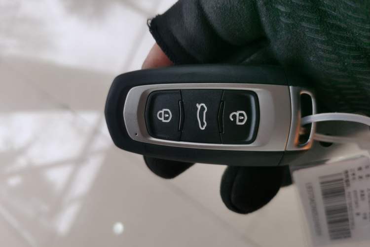 Used  Panda 2024 Panda Mini 200km Endurance Bear
