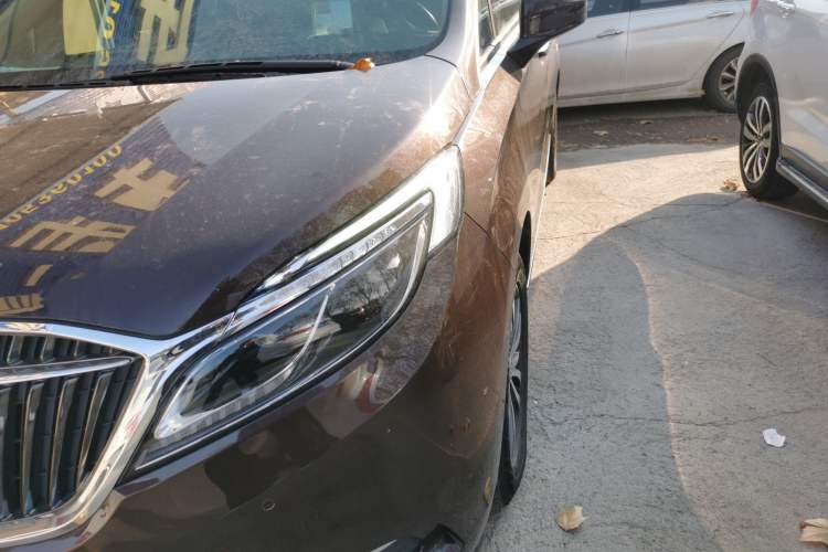 Used Buick GL8 2017 ES 28T Flagship Model China V Standard
