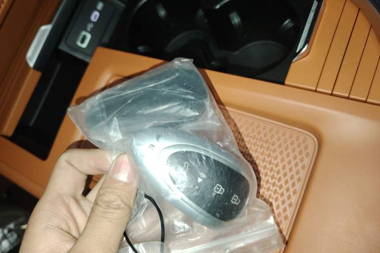 Used Wey Lanshan 2025 Four-Wheel Drive Ultra
