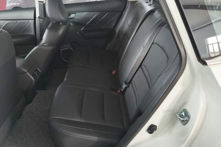 Used Venucia T60EV 2020 AI Enjoyment Model
