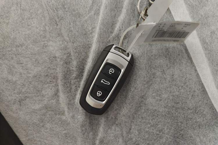 Used  Panda 2024 Panda Mini 200km Endurance Bear