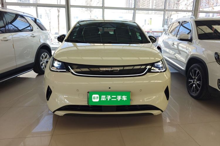 Used BYD Dolphin 2025 Smart Drive Version 420 km Freedom Edition