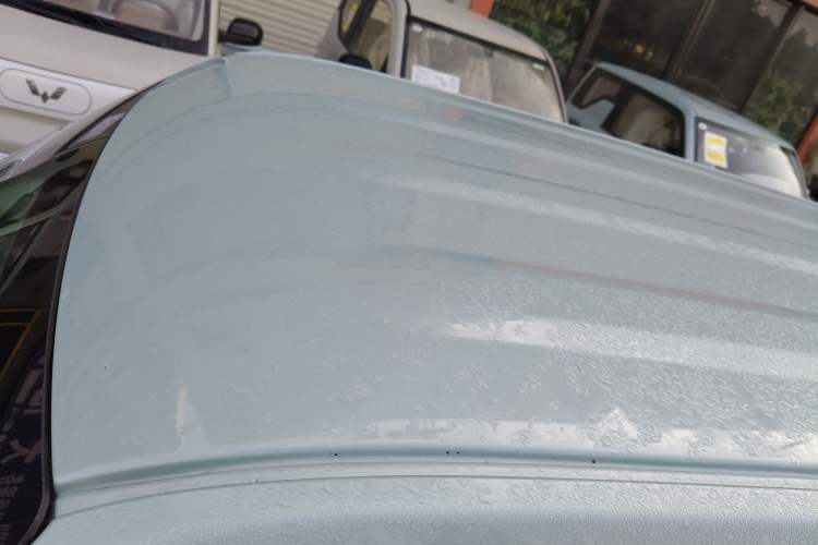 Used  Panda 2023 Panda Mini 200km Endurance Bear