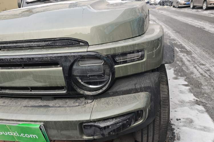 Used  V23 2025 501 Four-Wheel Drive Intelligent Driving Version
