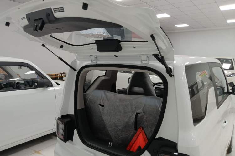 Used  Panda 2024 Panda Mini 200km Endurance Bear
