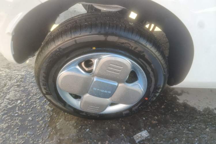 Used  Panda 2024 Panda Mini 200km Endurance Bear
