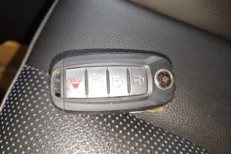 Used Venucia Venucia D60EV 2020 Standard Range Smart Drive Edition