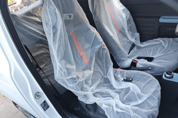 Used  Panda 2024 Panda Mini 200km Endurance Bear