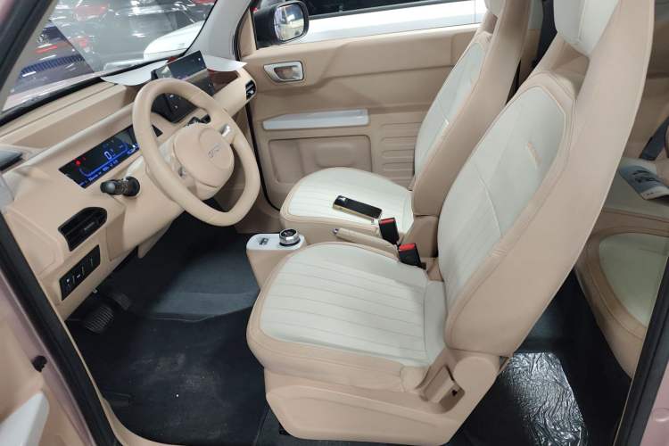 Used  Panda 2023 Panda Mini 200km Dynamic Bear