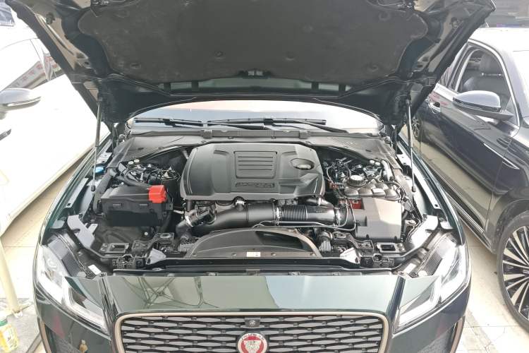 Used Jaguar XFL 2024 2.0T P250 Two-Wheel Drive Prestige Luxury Edition
