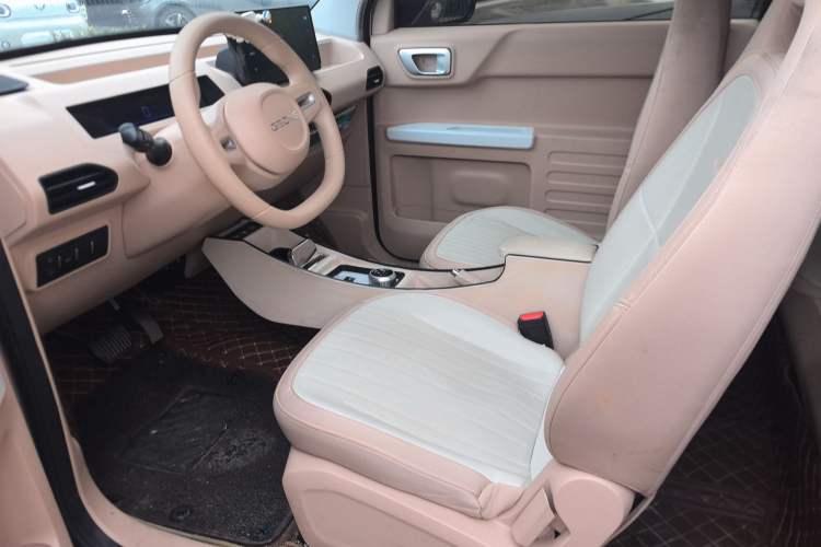 Used  Panda 2023 Panda Mini 200km Endurance Bear