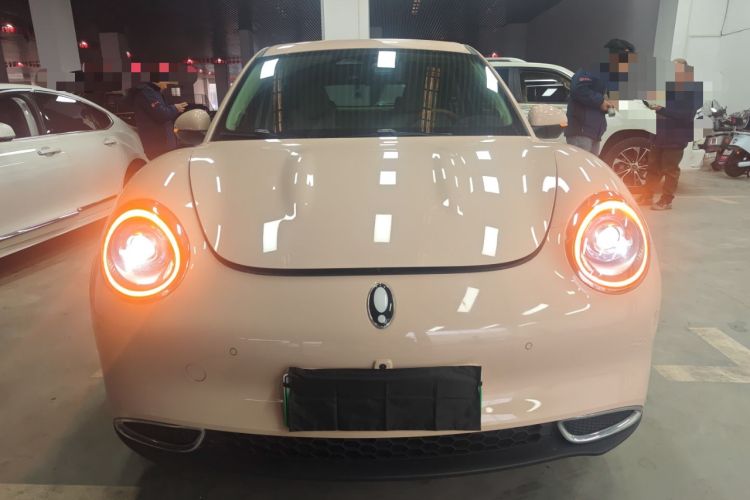 Used ORA Good Cat 2023 401 km Standard Range Luxury Version Lithium Iron Phosphate
