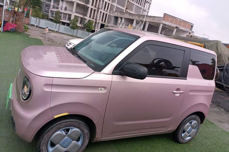 Used  Panda 2023 Panda Mini 200km Endurance Bear