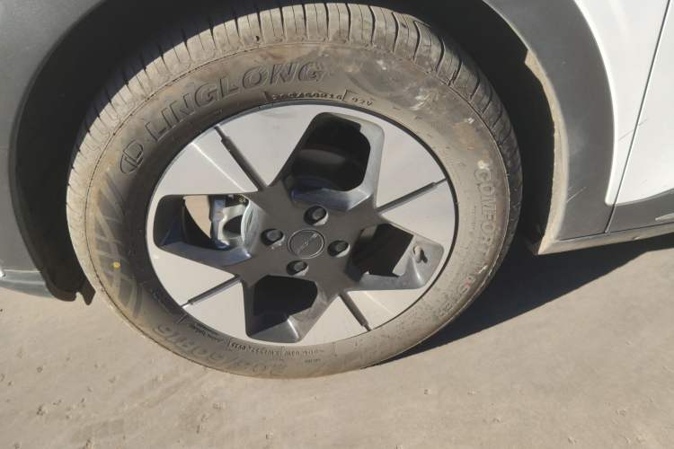 Used  Geome 2025 310km Dream Edition
