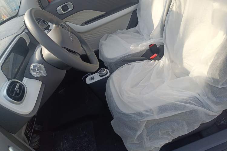 Used  Panda 2025 210 km – Yuanqi Bear